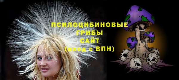 ECSTASY Горнозаводск