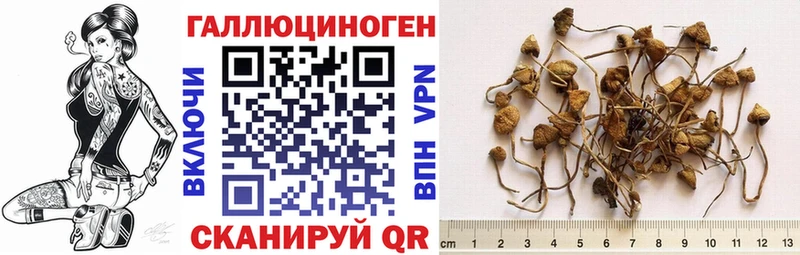 Псилоцибиновые грибы Magic Shrooms  Купить  Амурск 